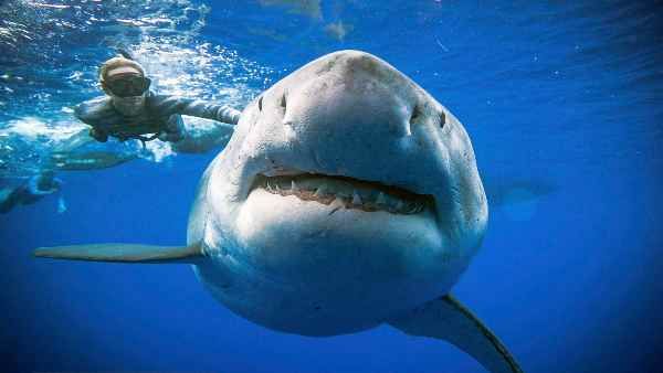 વિજ્ઞાન જગત આશ્ચર્યમાં