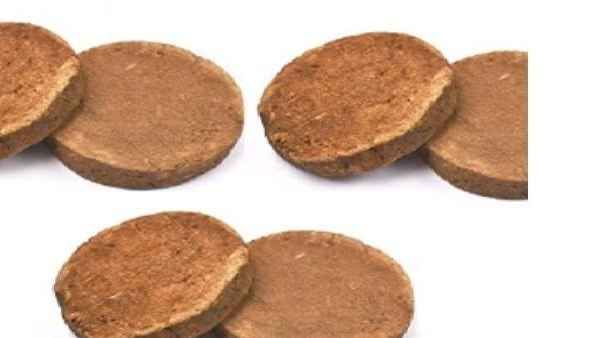 વૉશિંગ્ટન એરપોર્ટ પર કસ્ટમ તપાસમાં ભારતીય યાત્રીની બેગમાંથી મળ્યું છાણું, જાણો કેમ છે પ્રતિબંધિત