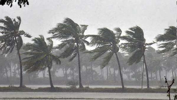 Tauktae Cyclone Live Tracking: ગુજરાતના દરિયાકાંઠે ત્રાટક્યુ વાવાઝોડુ 'તૌકતે', ચાર જિલ્લામાં અતિ ભારે વરસાદ