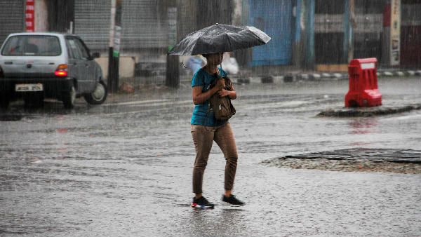 ચોમાસુ સમયસર આવી ગયુ ચોમાસુ સમયસર આવી ગયુ