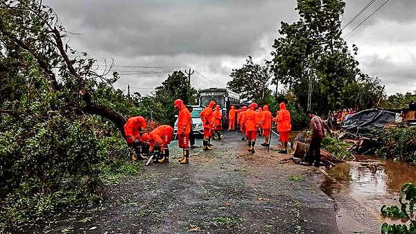 વાવાઝોડાએ કંઈ છોડ્યુ નહિ વાવાઝોડાએ કંઈ છોડ્યુ નહિ