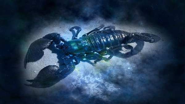 જુલાઈ 2021માં વૃશ્ચિક રાશિનુ માસિક રાશિફળ