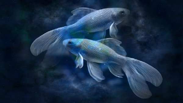 જુલાઈ 2021માં મીન રાશિનુ માસિક રાશિફળ