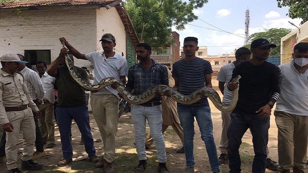 સંજેલીમાં વન વિભાગ દ્વારા રેસ્ક્યુ તાલીમ યોજાઈ