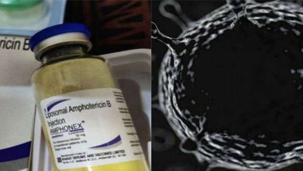 બ્લેક ફંગસ: સરકારે Amphotericin-B ઇન્જેક્શનની નિકાસ પર લગાવી રોક