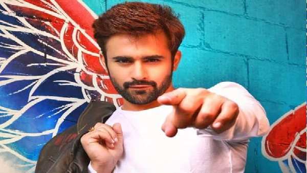 નાગિન 3 એક્ટર પર્લ વી પુરી પર રેપનો આરોપ, ફરિયાદ નોંધાઈ, મોડી રાતે પોલિસે કરી ધરપકડ