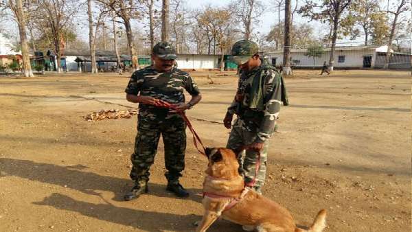 'નૈતિક જવાબદારી તરીકે આ પગલુ લેવાનો નિર્ણય' 'નૈતિક જવાબદારી તરીકે આ પગલુ લેવાનો નિર્ણય'