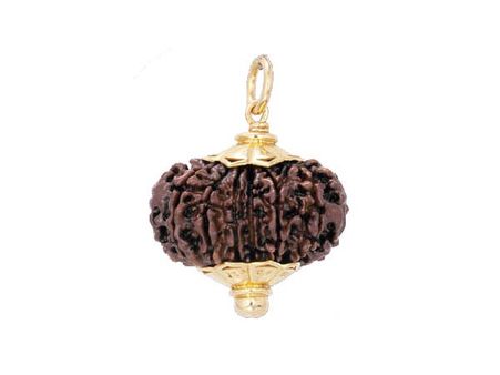 ચતુર્દશમુખી રુદ્રાક્ષ ભગવાન હનુમાનનું સ્વરૂપ છે. ચતુર્દશમુખી રુદ્રાક્ષ ભગવાન હનુમાનનું સ્વરૂપ છે.