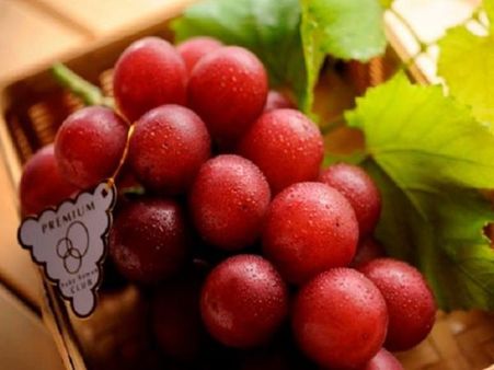 મોંઘા અનાનસ