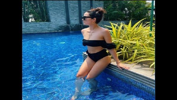 આવું છે નતાશાનું કરિયર