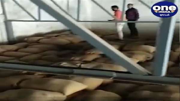 કેન્દ્ર સરકારે કઠોળમાં સ્ટૉક મર્યાદા લાગુ કરતા જ પુરવઠા વિભાગ આવ્યુ હરકતમાં