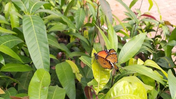 આજે વિશ્વ પ્રકૃતિ દિવસ નિમિતે જાણીએ એક એવી જગ્યા વિશે જ્યાં તમને પકૃતિનો મેળો જોવા મળશે