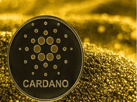 Cardano ક્રિપ્ટોકરન્સીએ એક જ દિવસમાં 10 ટકાનો પ્રોફિટ કરાવ્યો, જાણો લેટેસ્ટ રેટ