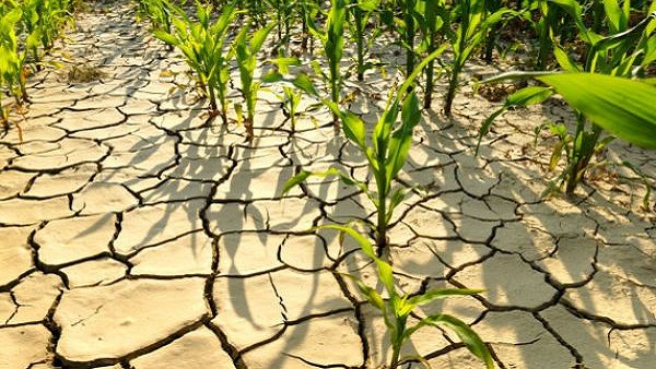 ગુજરાતમાં દુષ્કાળ જેવા હાલાત સર્જી શકે મુશ્કેલી
