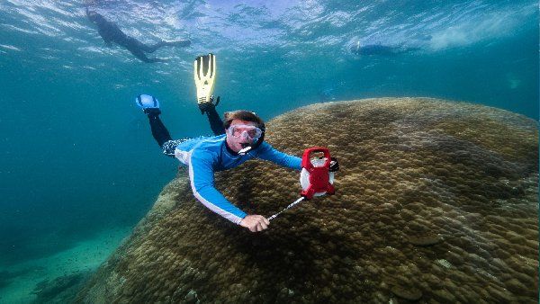 5.3 મીટર લાંબું અને 10.4 મીટર પહોડું કોરલ 5.3 મીટર લાંબું અને 10.4 મીટર પહોડું કોરલ