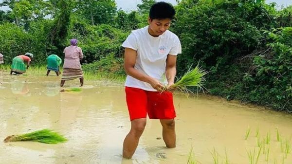 ખેતરમાં ડાંગર વાવતી હતી લવલીના ખેતરમાં ડાંગર વાવતી હતી લવલીના