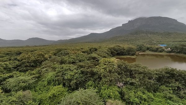 હેરિટેજની વાતો વચ્ચે સુદર્શન તળાવની ઉપેક્ષા હેરિટેજની વાતો વચ્ચે સુદર્શન તળાવની ઉપેક્ષા