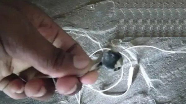 ચેતજો! ગીત સાંભળતી વખતે ઈઅરફોનનુ સ્પીકર ફાટવાથી યુવકનુ મોત, ફેબ્રુઆરીમાં જ થયા હતા લગ્ન