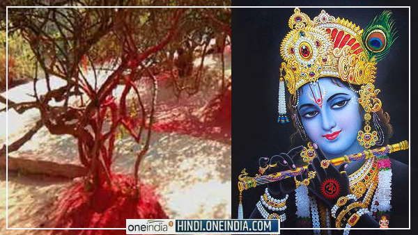 નિધીવનમાં આજે પણ શ્રી કૃષ્ણ રાસલીલા કરવા આવે છે