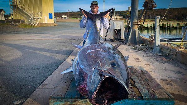 નાવમાં પણ નહોતી સમાઈ રહી આ માછલી