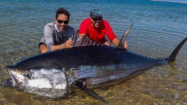 બ્રિટનના સૌથી વજનદાર વ્યક્તિથી પણ ભારે છે આ માછલી