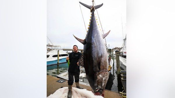 25 કરોડ રૂપિયામાં વેચાઈ હતી આ માછલી