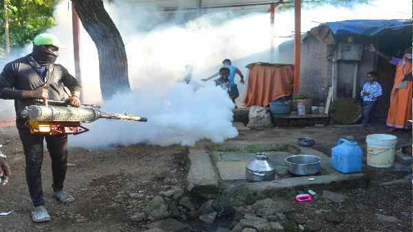 ઝીકા વાયરસના લક્ષણો