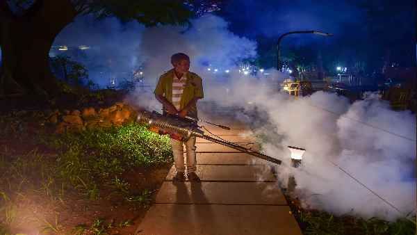 શું ઝીકા વાયરસ ચિંતાનું કારણ છે?