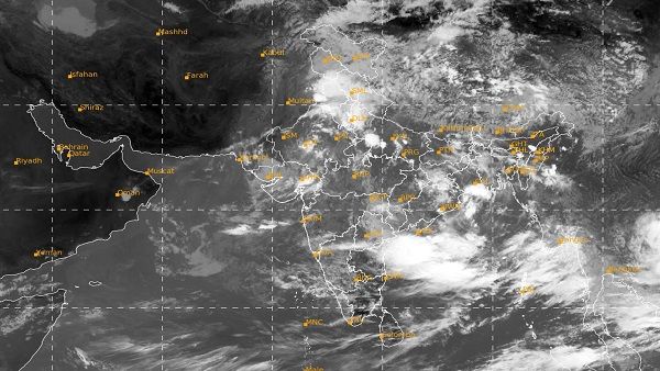 રાજ્યમાં સાર્વત્રિક મેઘો મહેરબાન, જાણો ક્યા કેટલો નોંધાયો વરસાદ