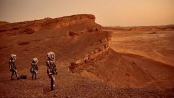 હેન્ડહેલ્ડ નેનોચીપ