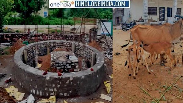 પહેલુ ગૌ મંદીર: ચિત્તોડગઢમાં બનાવવામાં આવશે ગાયનુ મંદીર અને હોસ્પિટલ