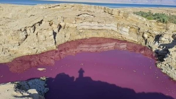 અધિકારીઓ લાલ પાણીની તપાસમાં રોકાયા