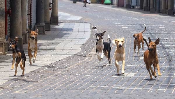 ઘટનાનું કારણ હજૂ અકબંધ