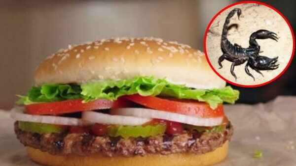 બર્ગરમાં હતો વીંછી, અડધું ખાધા બાદ થઇ જાણ