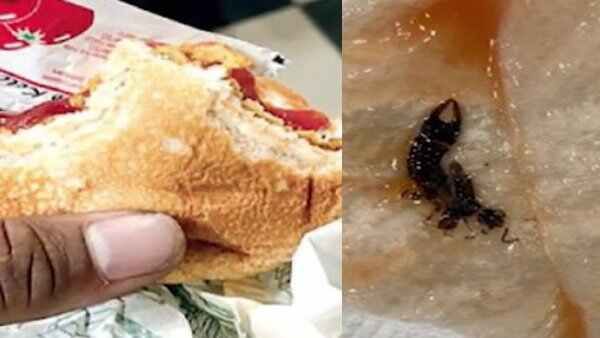 સમગ્ર વિશ્વમાં પ્રખ્યાત છે આ આઉટલેટ