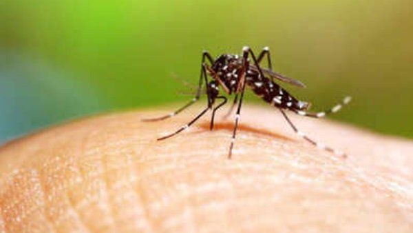 કોરોના મહામારી વચ્ચે દિલ્લીમાં ડેન્ગ્યુનુ જોખમ, ઓગસ્ટમાં 72 નવા કેસોએ વધારી ચિંતા