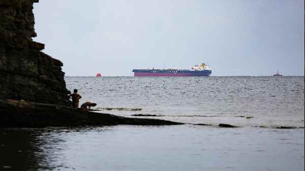 'ન્યૂ બર્ડ ફ્લૂ' મોટે ભાગે જવાબદાર - નિષ્ણાંતો 'ન્યૂ બર્ડ ફ્લૂ' મોટે ભાગે જવાબદાર - નિષ્ણાંતો