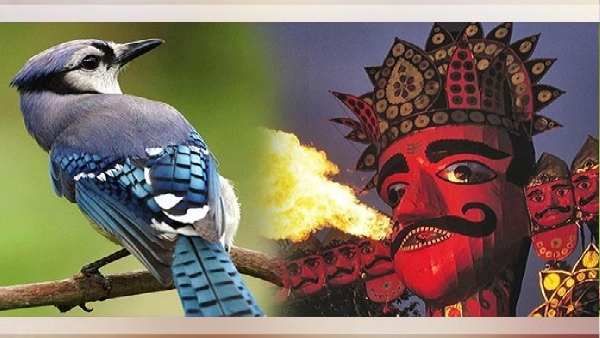 નીલકંઠના દર્શન