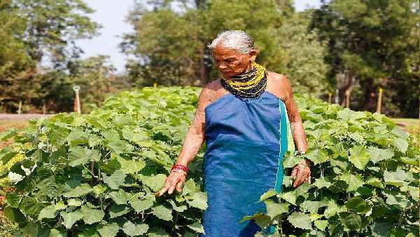 કર્ણાટકના ગરીબ પરિવારમાં જન્મ્યા કર્ણાટકના ગરીબ પરિવારમાં જન્મ્યા