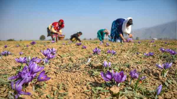 ગ્લોબલ વોર્મિંગ કટોકટીથી બચવા ખેડૂતોએ શું કરવું જોઈએ? ગ્લોબલ વોર્મિંગ કટોકટીથી બચવા ખેડૂતોએ શું કરવું જોઈએ?