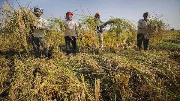 નાસાએ ગરીબ દેશોના ખેડૂતો માટે શું કહ્યું? નાસાએ ગરીબ દેશોના ખેડૂતો માટે શું કહ્યું?