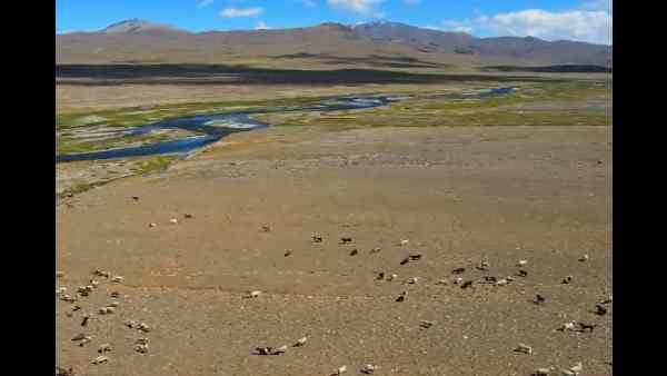 કોણ છે બાલ્ટી સમુદાય?