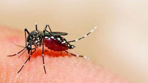 કાનપુરમાં ઝિકા વાયરસના 25 મામલા આવ્યા, 2 ગર્ભવતી મહિલાઓ પણ સંક્રમિત