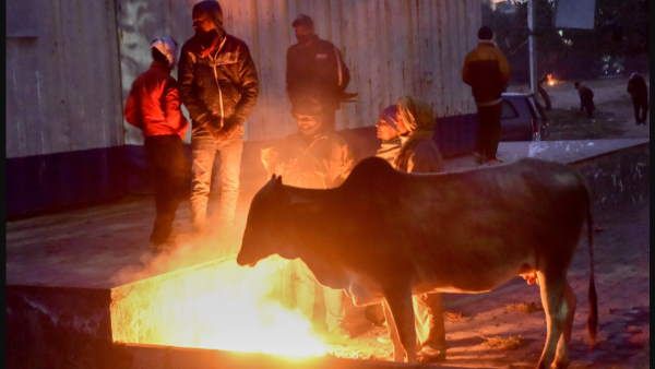 યુપી, પંજાબ અને હરિયાણામાં વરસાદનુ અનુમાન