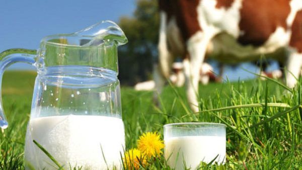 મહારાષ્ટ્રના આ શહેરનો કિસ્સો