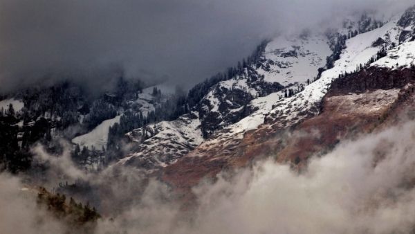 સંશોધન જર્નલ સાયન્ટિફિકમાં પ્રકાશિત થયું 