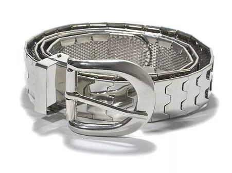 ચમકતો પટ્ટો