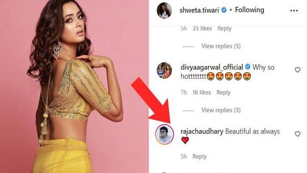 ભૂતપૂર્વ પતિ રાજા ચૌધરી પોતાને રોકી શક્યો નહીં ભૂતપૂર્વ પતિ રાજા ચૌધરી પોતાને રોકી શક્યો નહીં