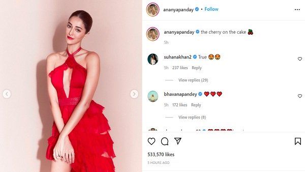 અનન્યા પાંડે વિવાદોમાં પણ ફસાઈ છે