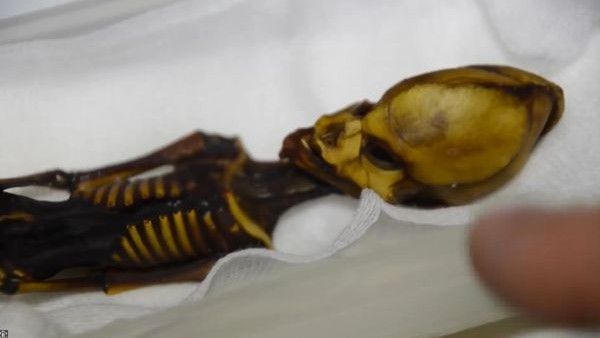 2003માં મળી આવ્યું હતું એલિયનનું હાડપિંજર